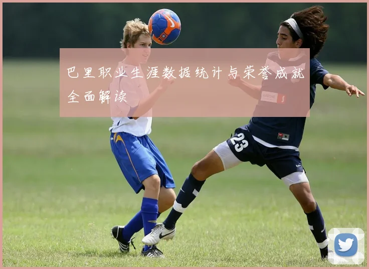 巴里职业生涯数据统计与荣誉成就全面解读